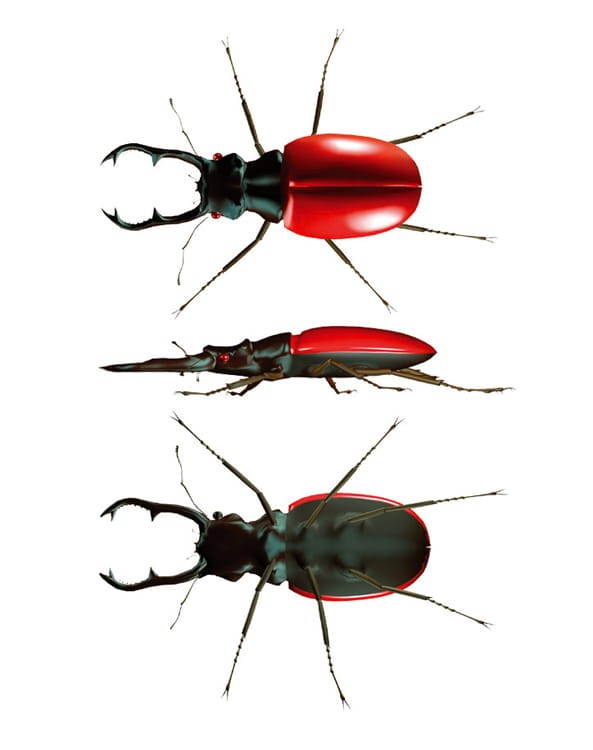 pojemnik-do-obserwacji-robakow-lustro-navir-3