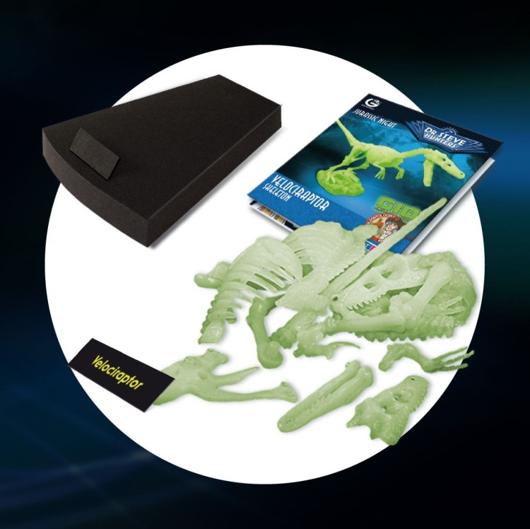 VELOCIRAPTOR model dinozaura świecący w ciemności Geoworld