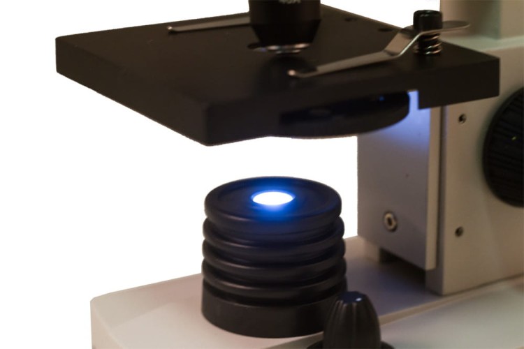 Mikroskop Rainbow 2L PLUS Moonstone szary Levenhuk + GRATIS zestaw K50 do eksperymentów